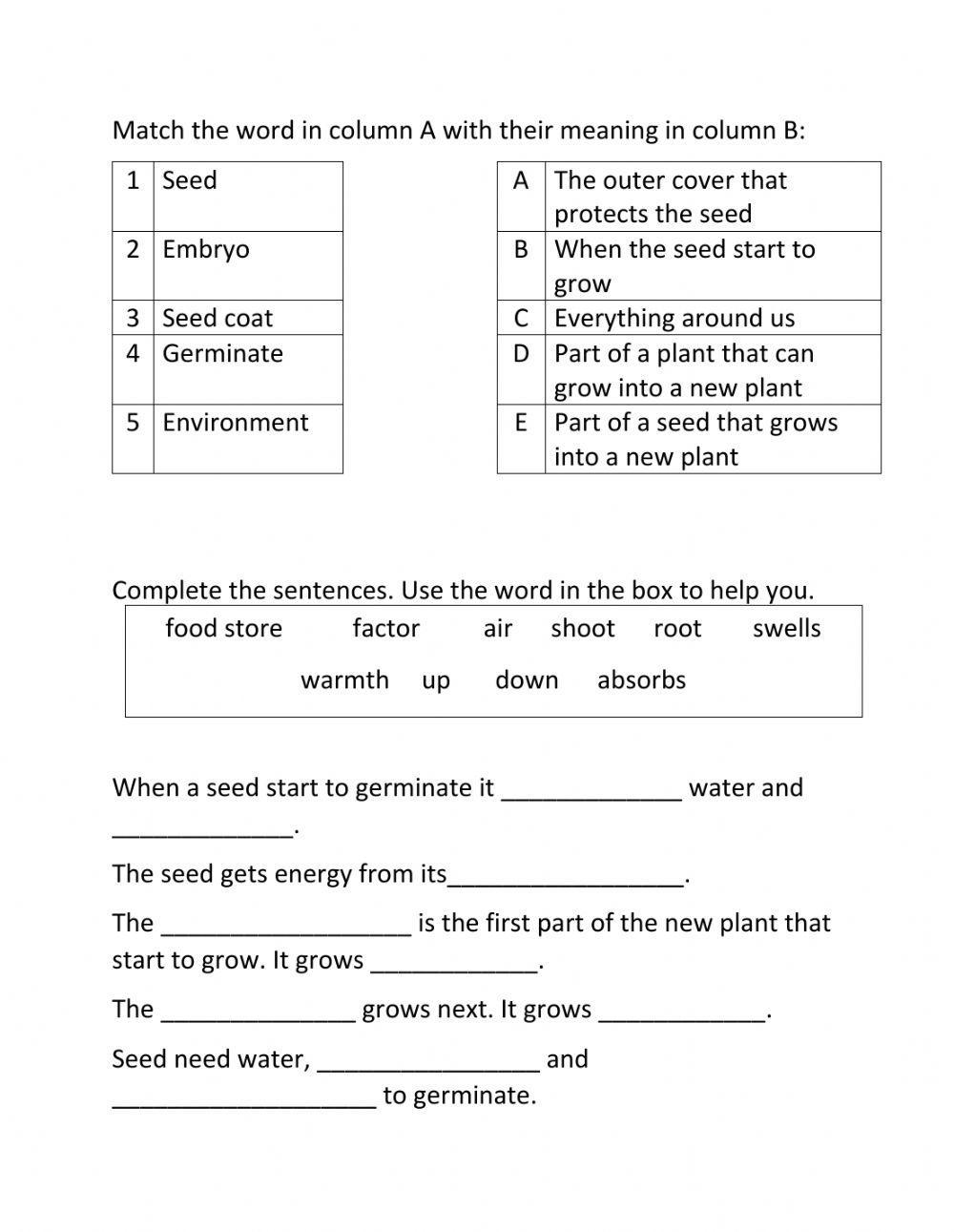 4th grade science worksheets 4th grade science worksheets