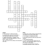 SEEDS Crossword WordMint