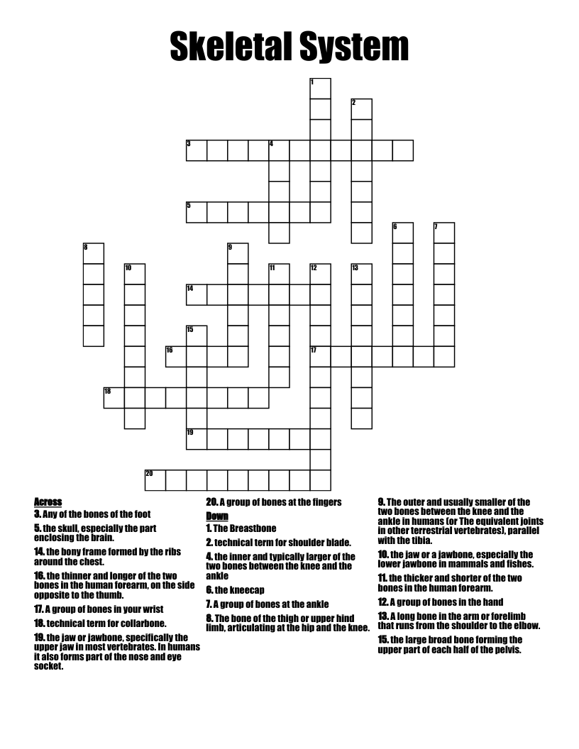 Skeletal System Crossword WordMint Skeletal System Crossword WordMint