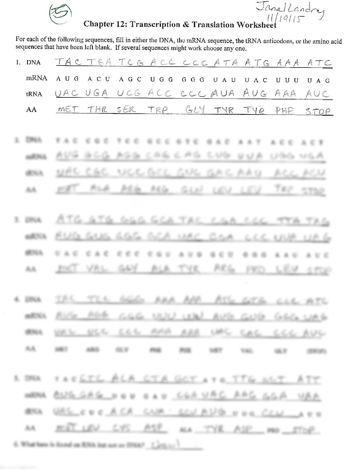 SOLUTION Biology Transcription Translation Worksheet Studypool Worksheets Library