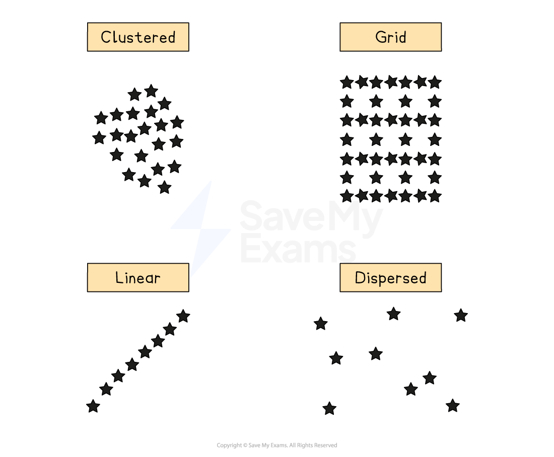 Spatial Pattern AP Human Geography Revision Notes