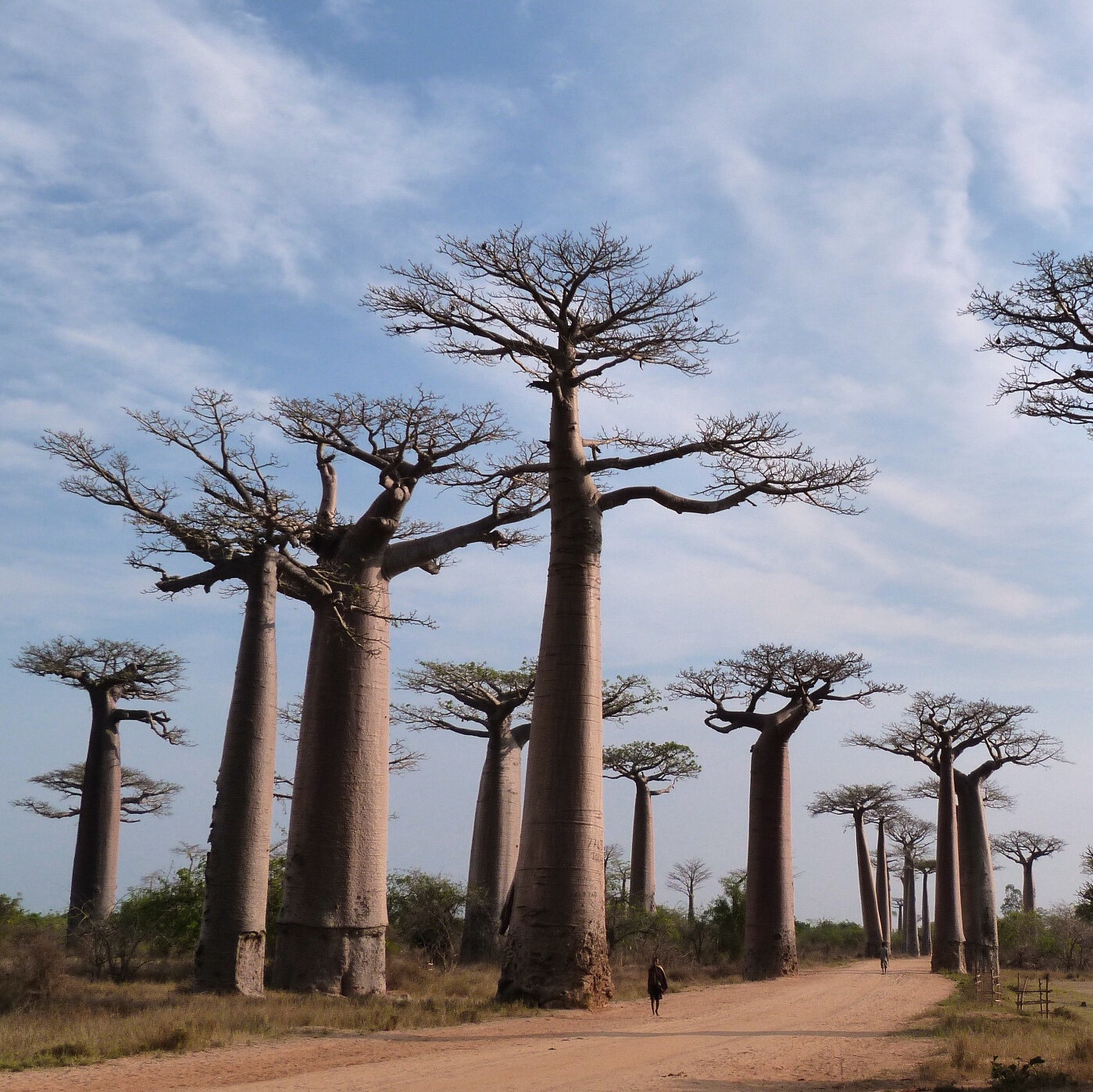 Stuff In Microdots The New York Times