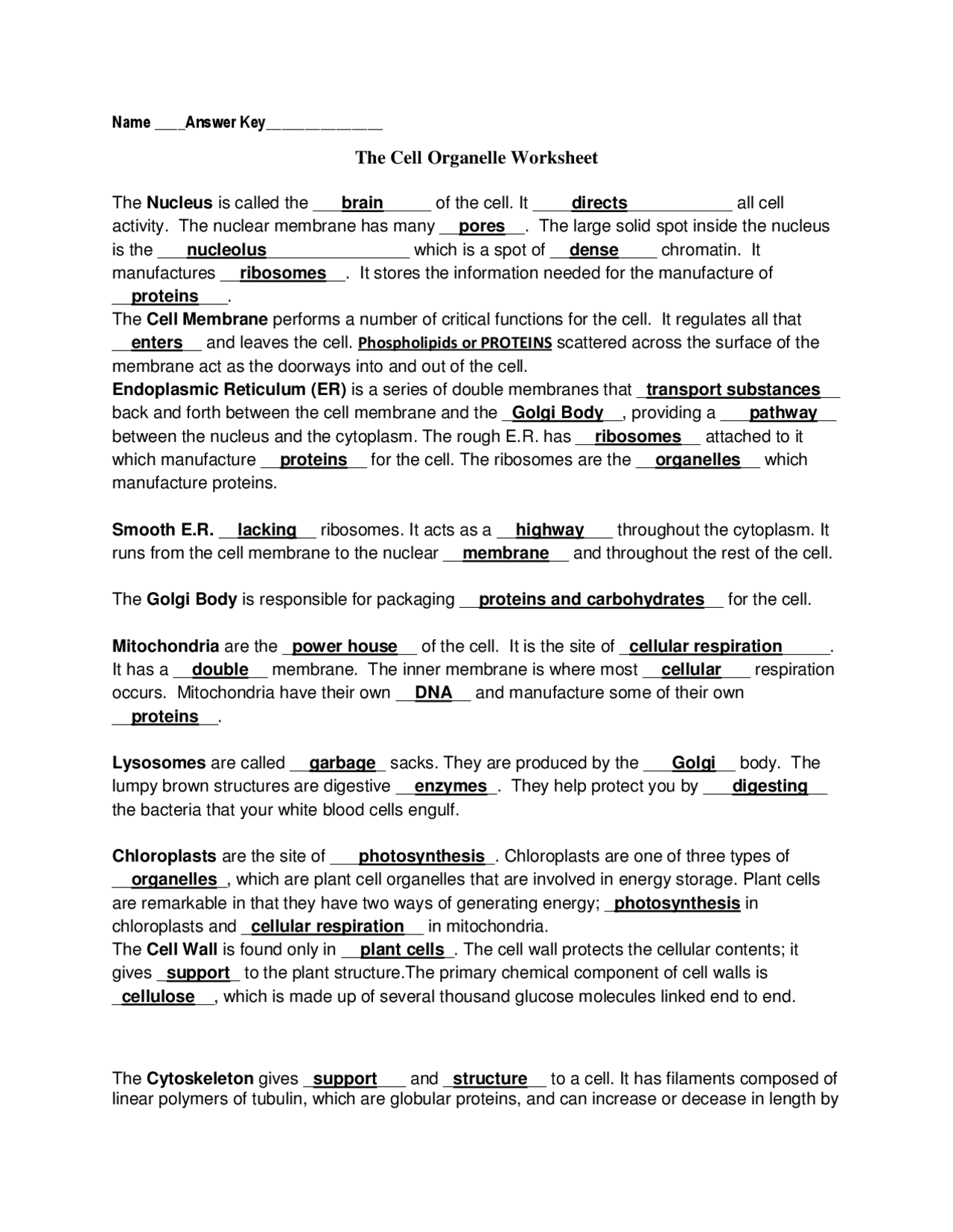 The Cell Organelle Worksheet With Answers Exercises Cell Biology Worksheets Library The Cell Organelle Worksheet With Answers Exercises Cell Biology Worksheets Library