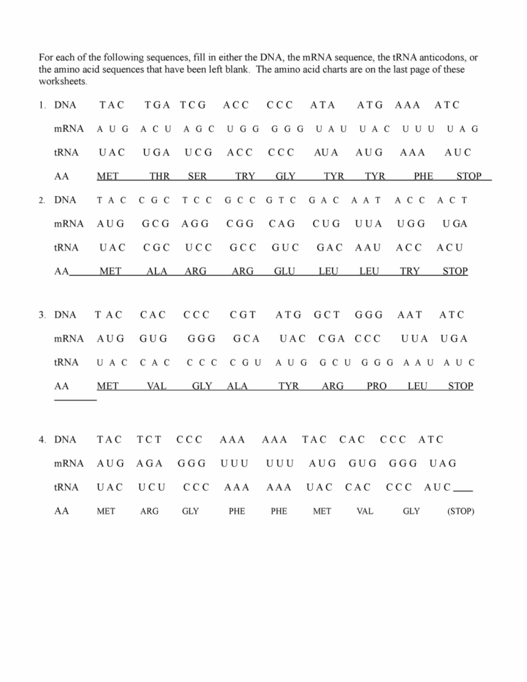 Transcription And Translation Practice For Each Of The Following Worksheets Library