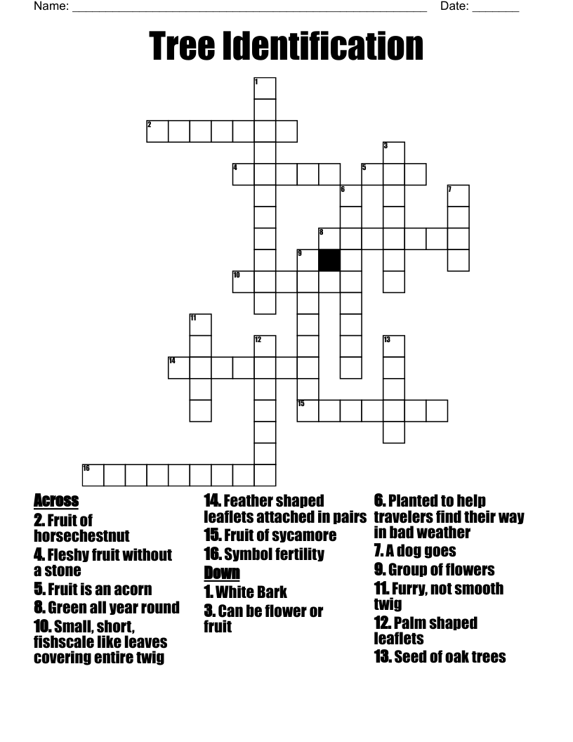 Tree Identification Crossword WordMint