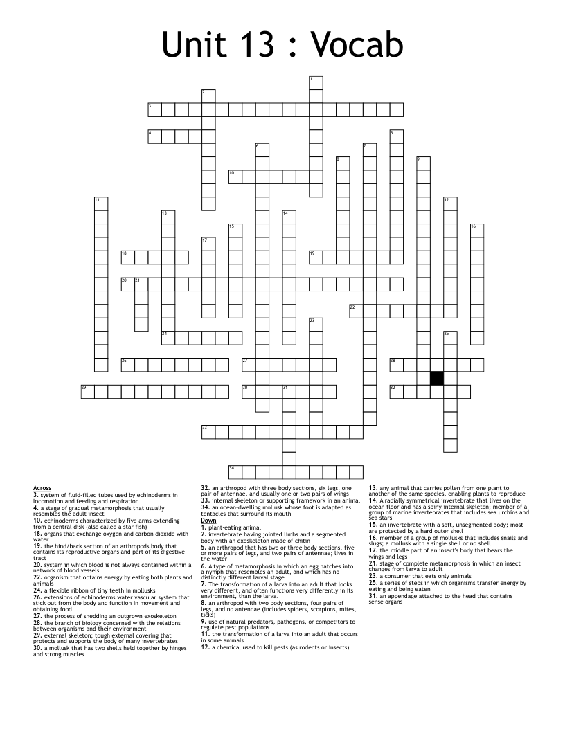 Unit 13 Vocab Crossword WordMint