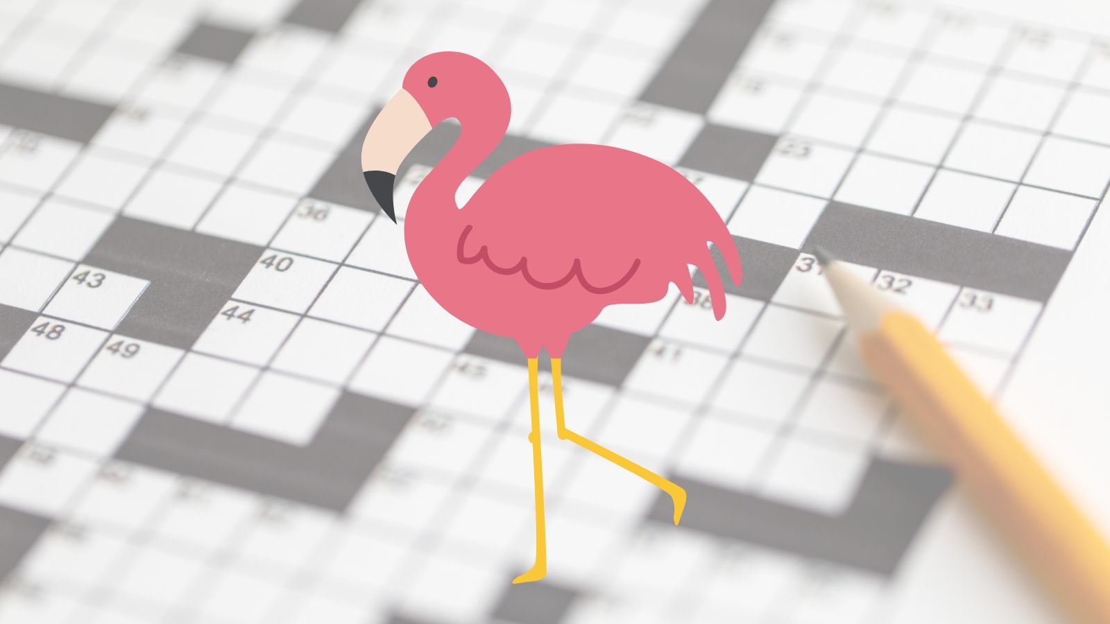 Wading Bird Crossword Clues Wading Bird Crossword Clues