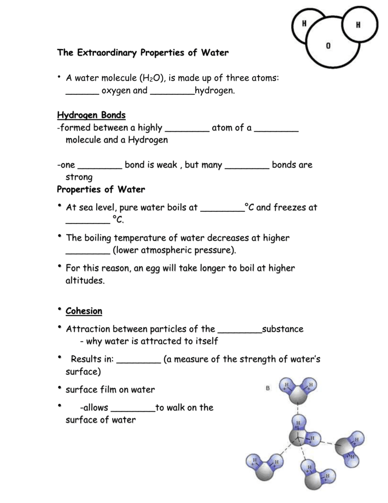 Water Properties Worksheet Cohesion Adhesion Heat Water Properties Worksheet Cohesion Adhesion Heat