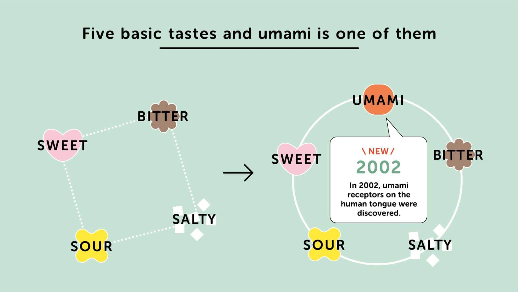 What Is Umami Everything About Umami Umami The Ajinomoto Group Global Website Eat Well Live Well What Is Umami Everything About Umami Umami The Ajinomoto Group Global Website Eat Well Live Well