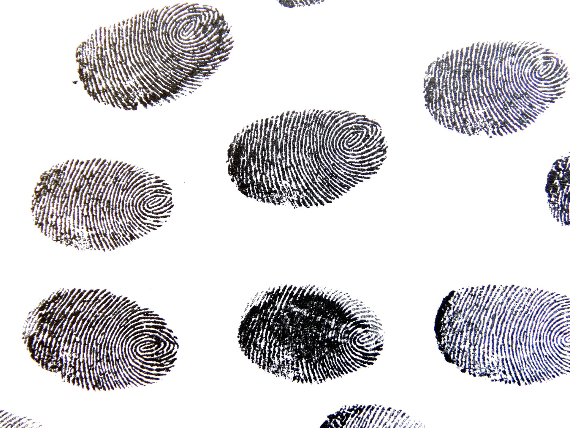 Which Fingerprint Is Most Common Perkins School For The Blind Which Fingerprint Is Most Common Perkins School For The Blind