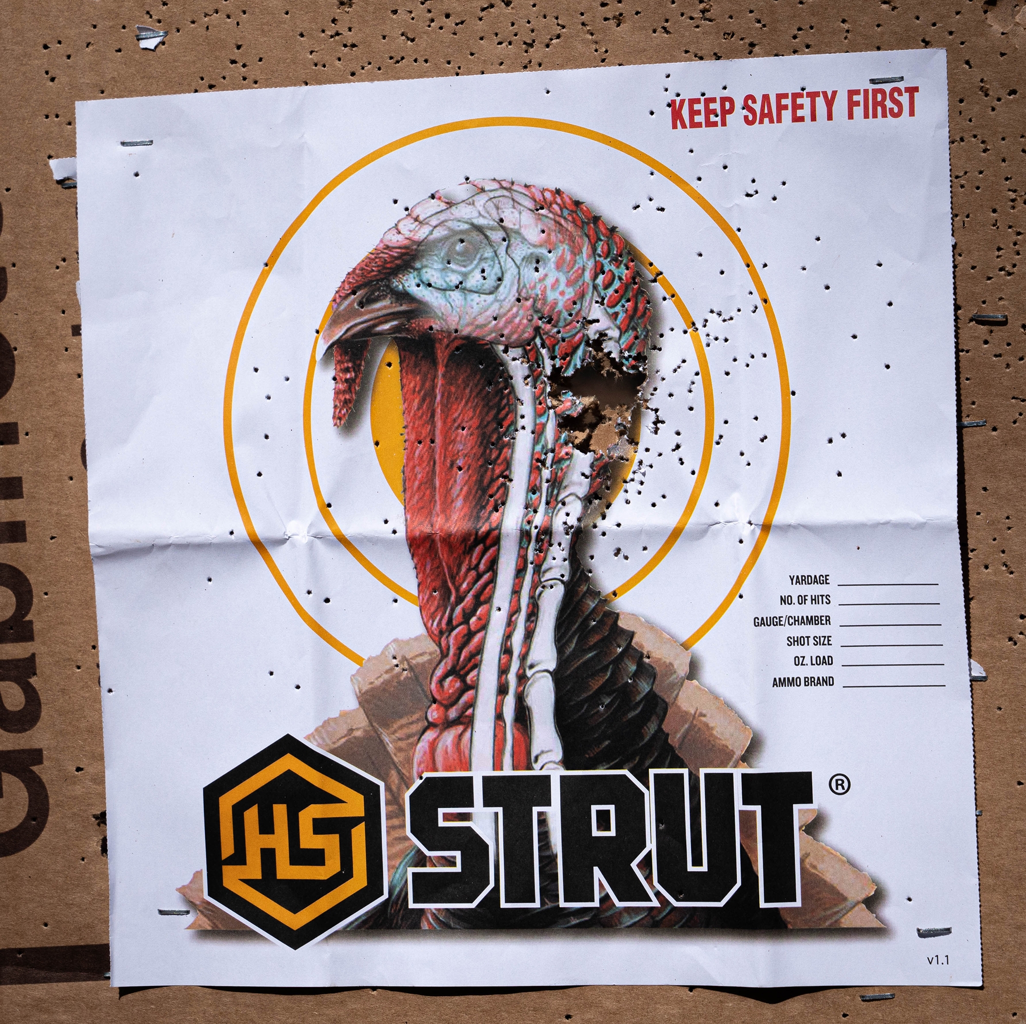 Why Hunters Pattern Their Shotguns Dialing In Your Turkey Killer Why Hunters Pattern Their Shotguns Dialing In Your Turkey Killer